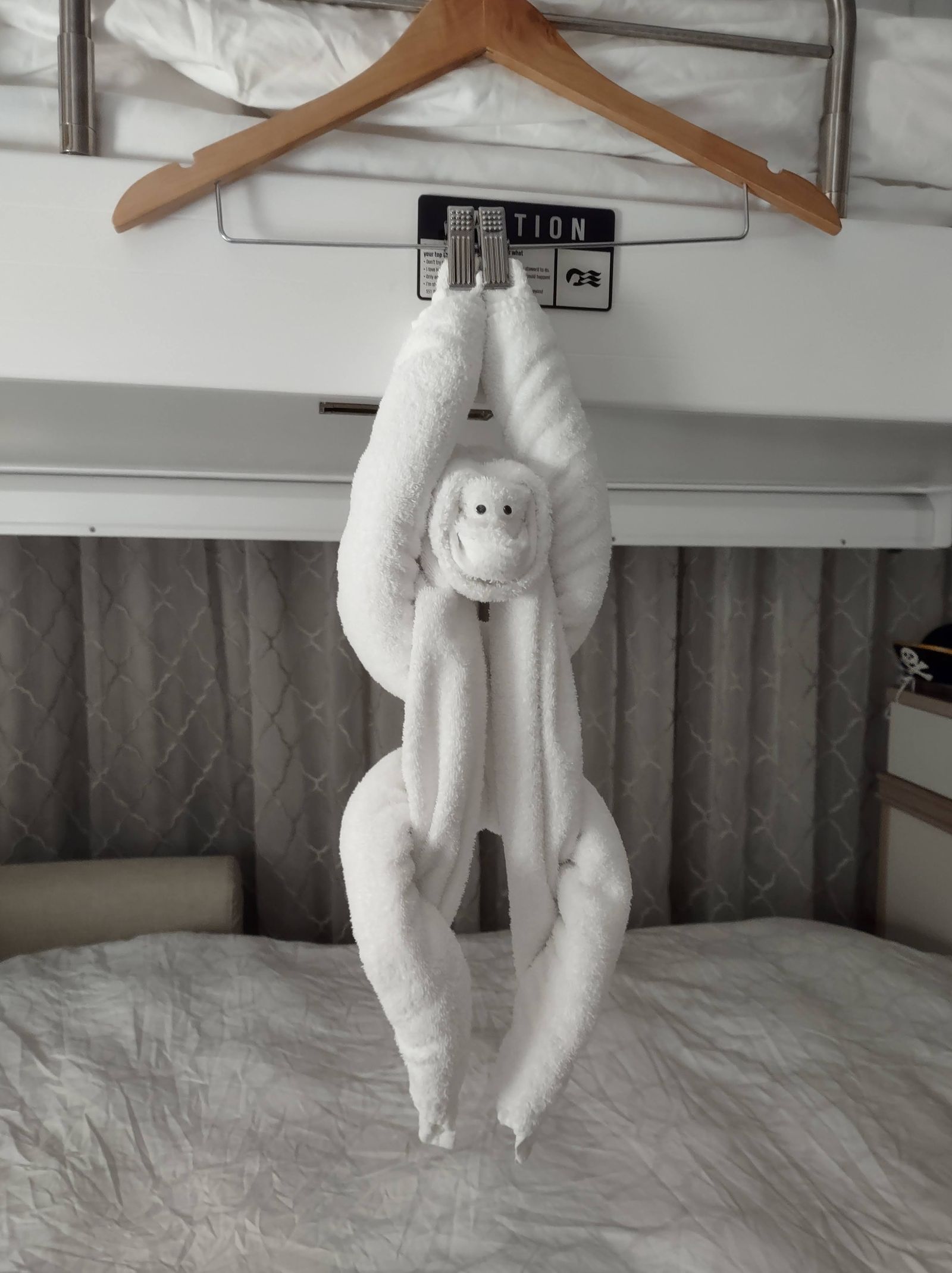 Photo from A Transatlantic Adventure on Princess: Madeira, Art, and Rolling with the Waves
